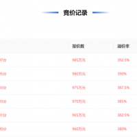 近50元/噸、溢價率393% 浙江民企競得一宗砂石礦